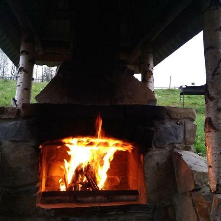 Zacharovany Karpaty Slavske Bagian luar foto