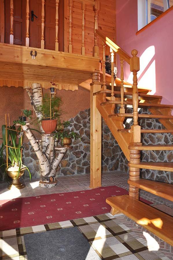 Zacharovany Karpaty Slavske Bagian luar foto