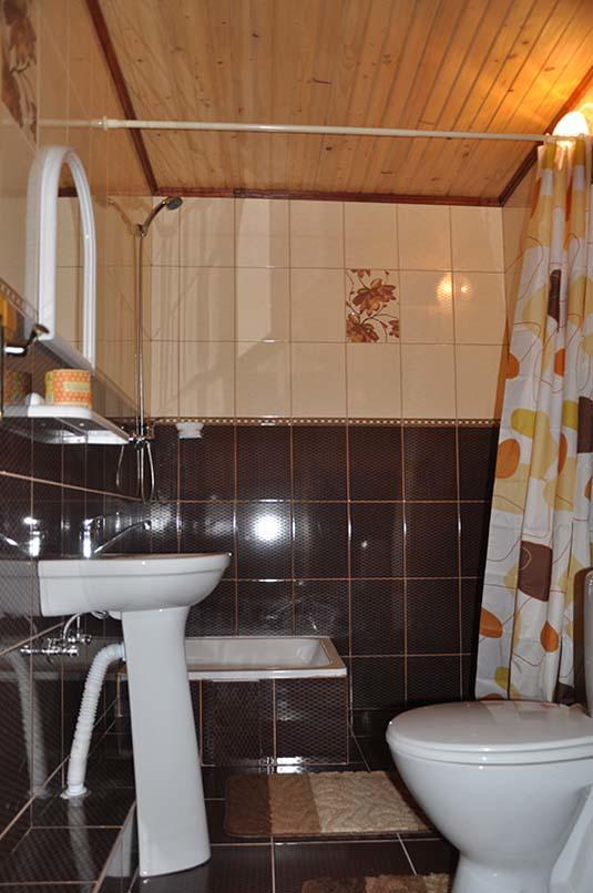 Zacharovany Karpaty Slavske Bagian luar foto