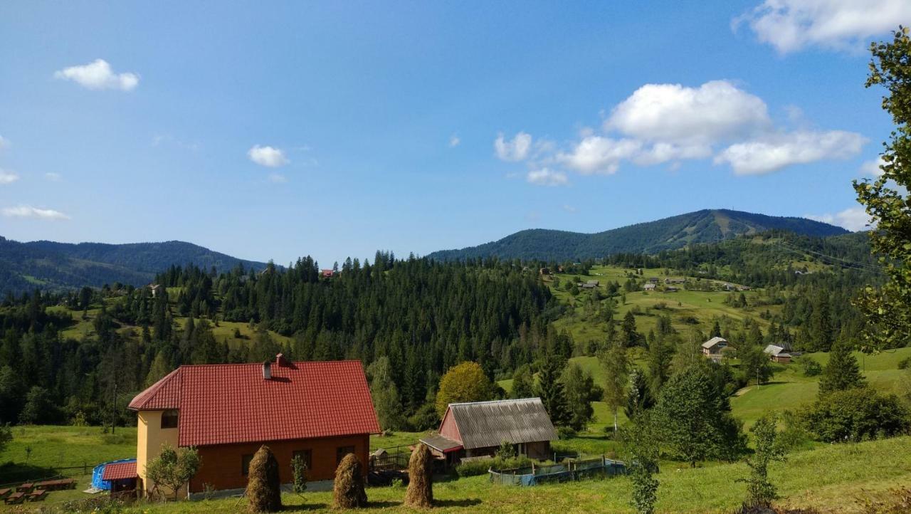 Zacharovany Karpaty Slavske Bagian luar foto