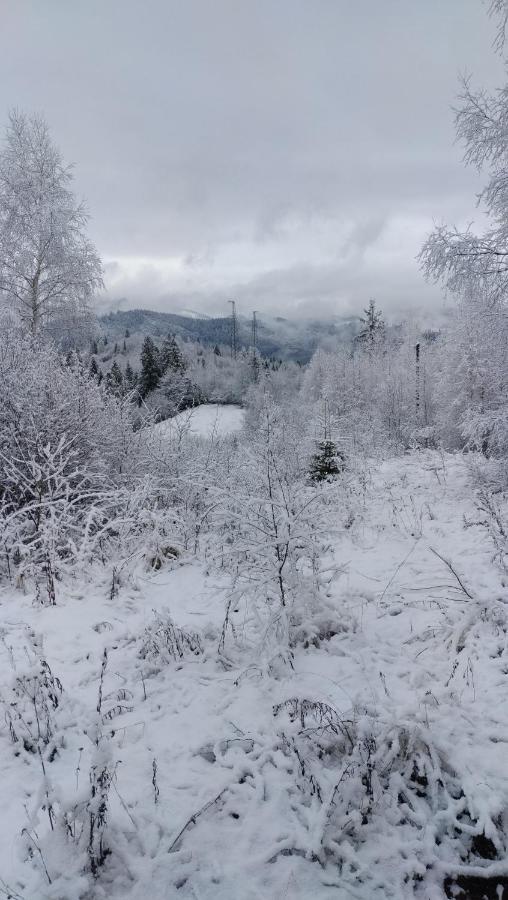 Zacharovany Karpaty Slavske Bagian luar foto